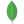 image-here