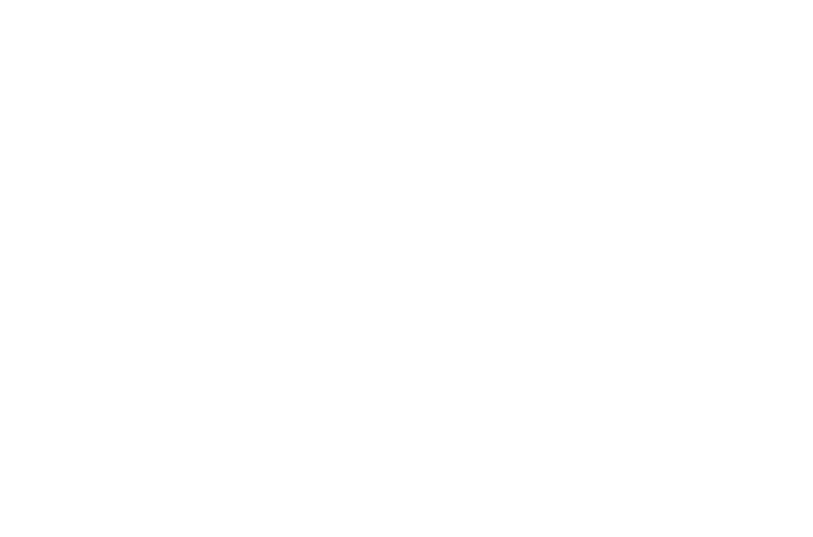 image-here