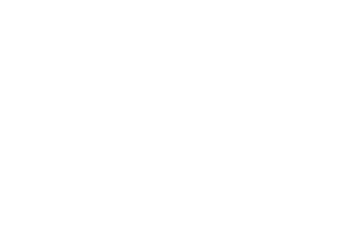 image-here